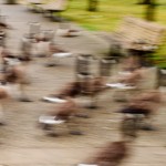 Slow Shutter Speed as a Hindrance Slow Shutter Speed as a Hindrance