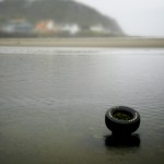 Pacific Beach Tire by Alex Sablan